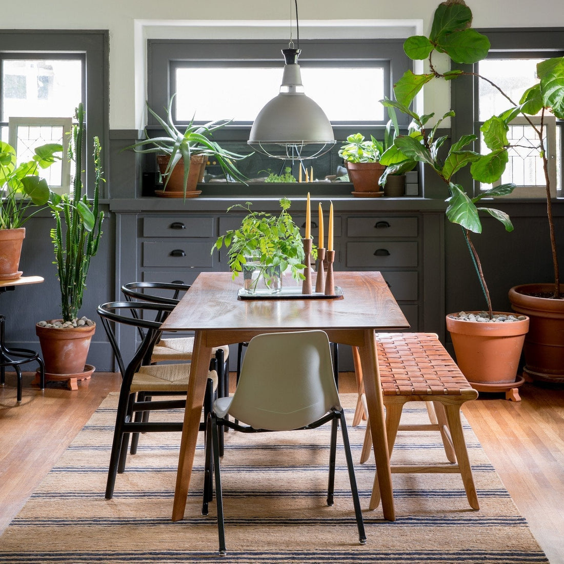 Sunlit dining room with a wooden table, mixed chairs and bench, potted plants on the windowsill and a hanging pendant light in a bungalow